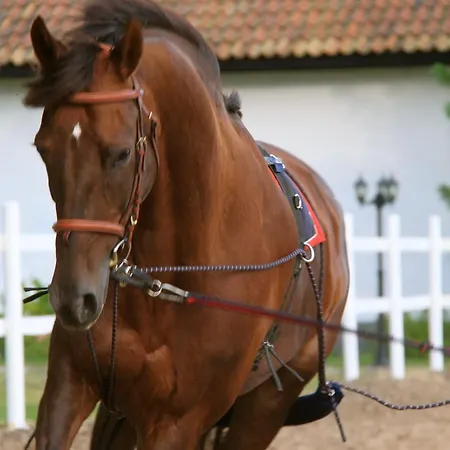 Boutique Ontika Asundus