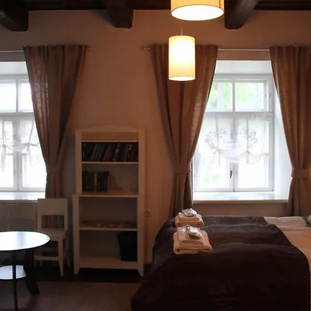 Pensjonat Boutique Ontika Asundus