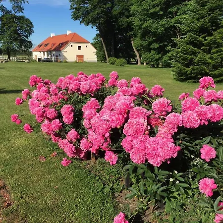 Boutique Ontika Asundus