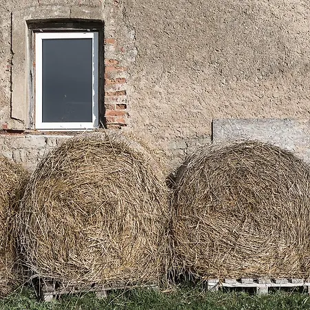 Boutique 3* Ontika Asundus