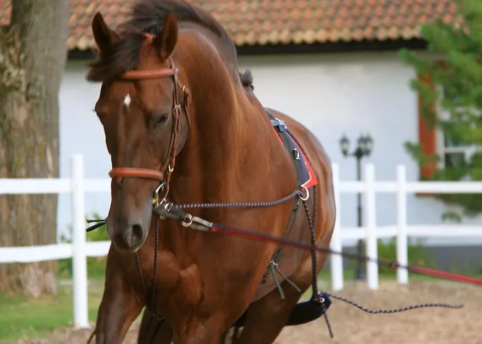 Boutique Ontika Asundus