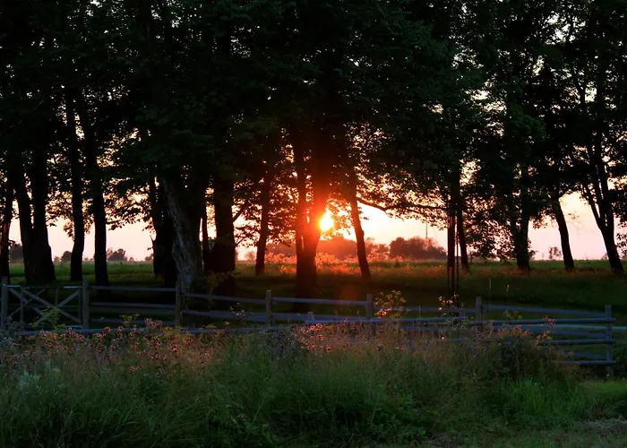 Boutique Ontika Asundus