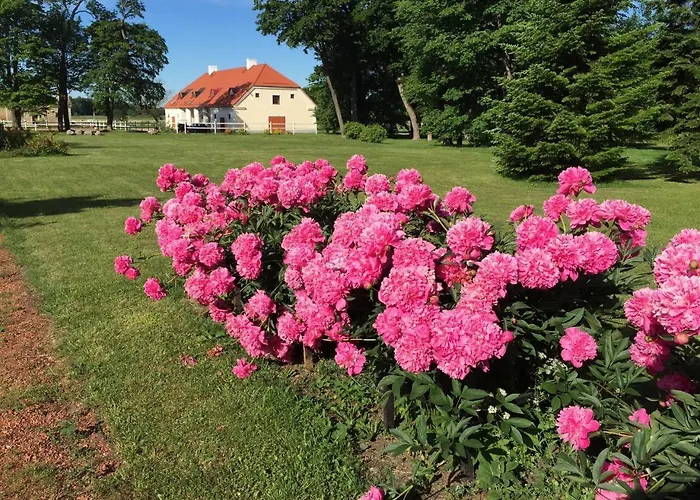 Boutique Ontika Asundus