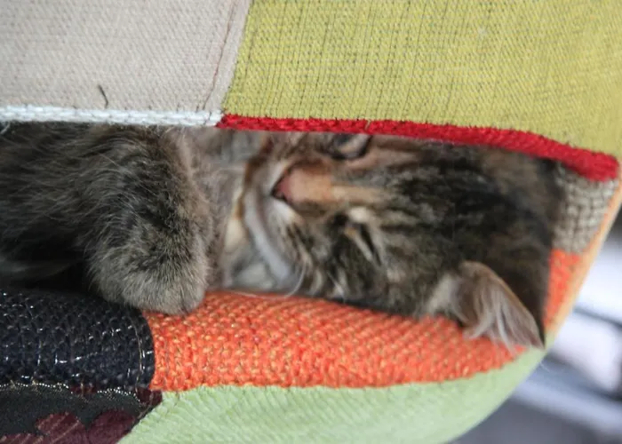 Boutique Maison d'hôtes