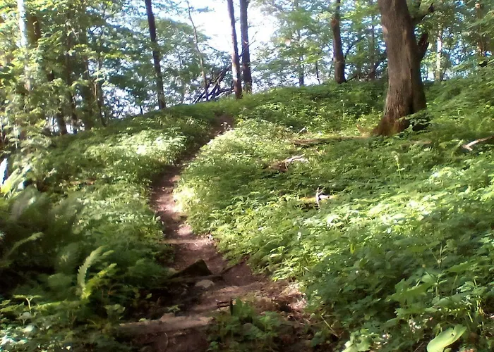 Boutique Maison d'hôtes 3*