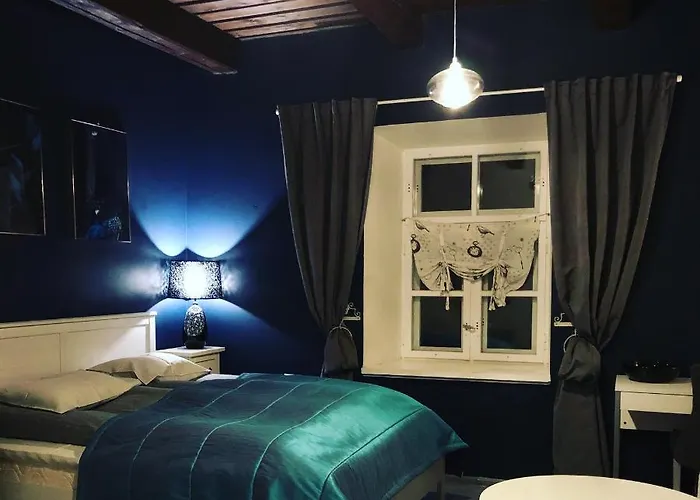 Pensjonat Boutique Ontika Asundus